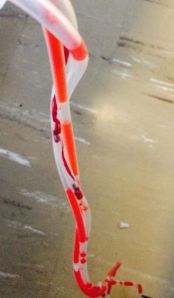 1012662_10152305082863969_724358557_n